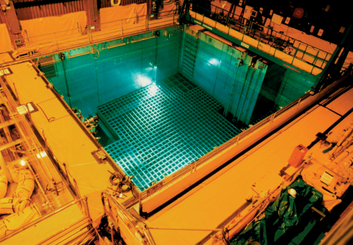 Nuclear Facility Services